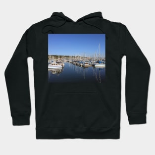 Just a drop in the ocean Hoodie